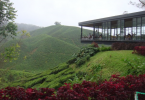 wisata cameron Highlands - Panduan Traveling YoExplore