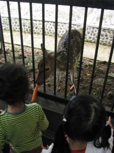 Family Trips for Cheap