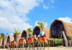 Liburan Keluarga di Bali - yoexplore , travel marketplace - liburan keluarga