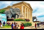 Yoexplore_Family trips: The Best Educational Family Trips in Indonesia: Animal Museum