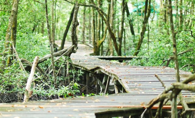 liburan keluarga di tarakan - yoexplore, liburan keluarga - yoexplore.co.id