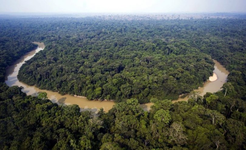 hutan terluas di indonesia - yoexplore, liburan keluarga - yoexplore.co.id