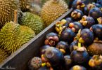 Indonesia's Tropical Fruits