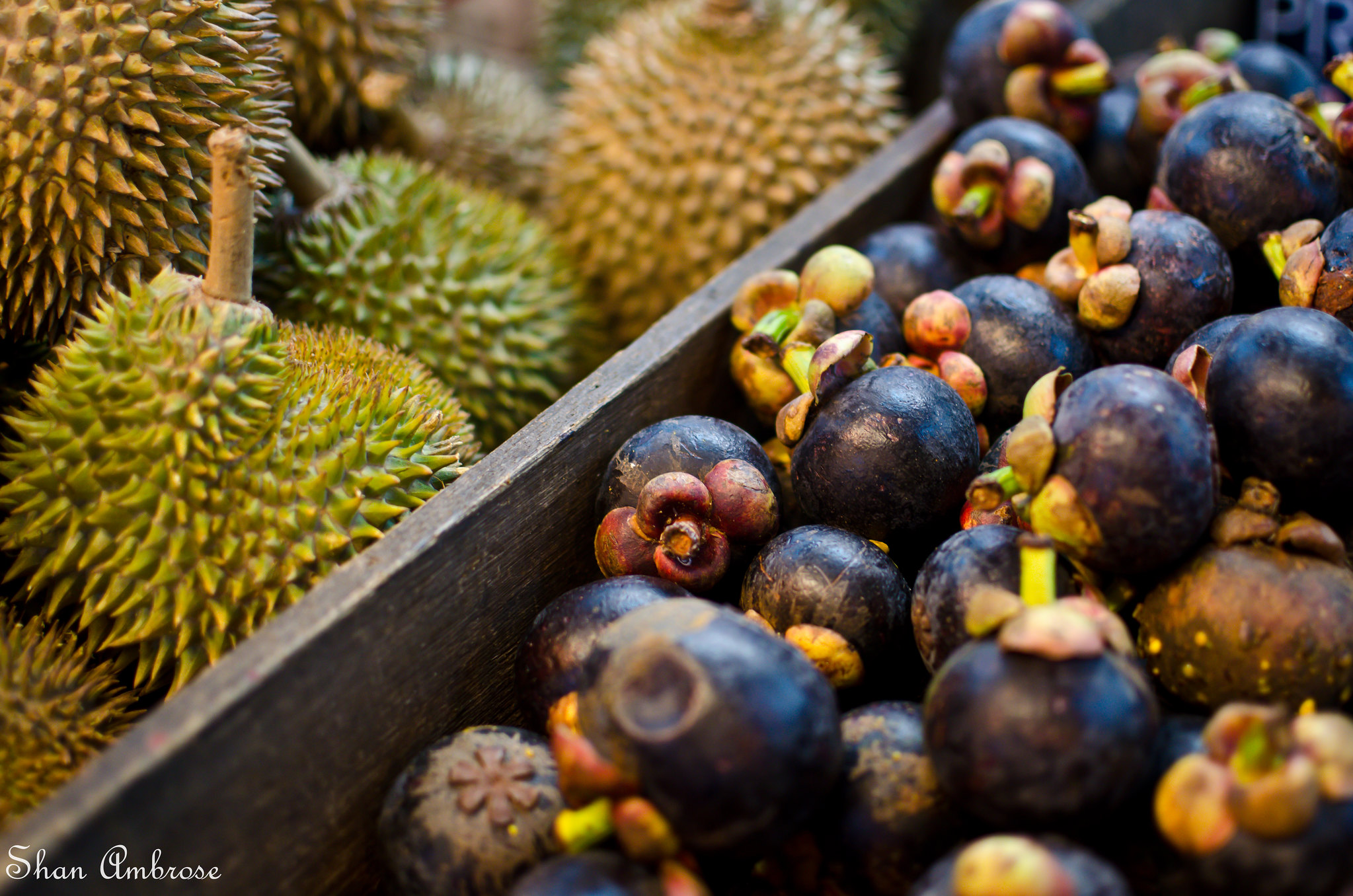 Indonesia's Tropical Fruits You Should Try Village Ecotourism In