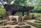 sejarah taman safari bogor indonesia - yoexplore, liburan keluarga - yoexplore.co.id