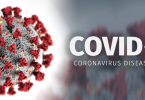 apa itu virus corona - yoexplore, liburan keluarga - yoexplore.co.id