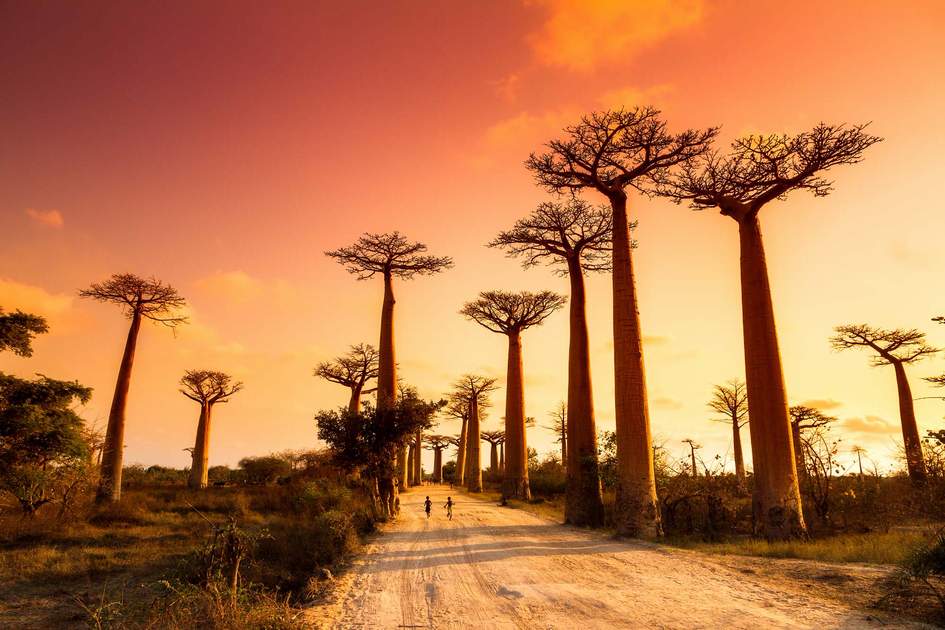 explore afrika