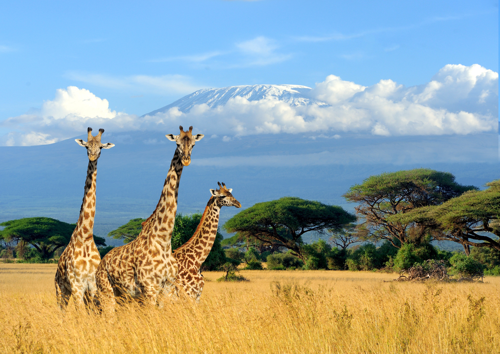 explore afrika