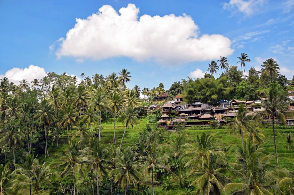 ubud Wellness Tourism di Bali