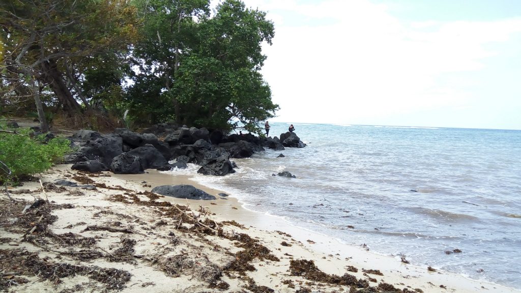 baluran Rekomendasi Wisata