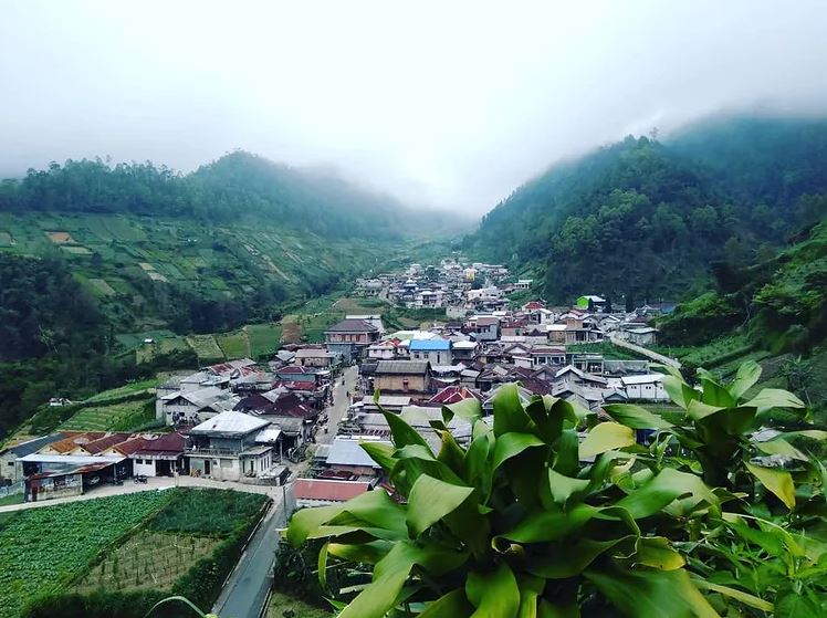 pesona wonomulyo kampung di lereng lawu yang dijuluki new zealandnya indonesia RRBtBQdyCz Rekomendasi Wisata